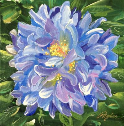 Blue Cornflower 10" x 10" by Susan Pepler