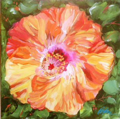 Coral Hibiscus 10" x 10"