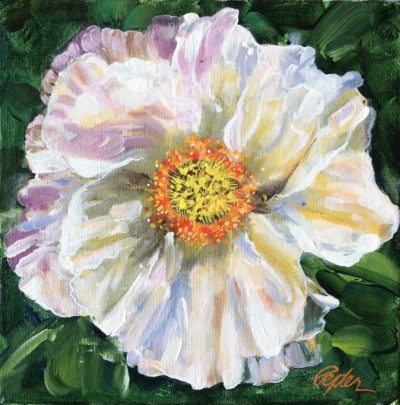 White Poppy 10" x 10" painting by Susan Pepler